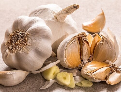 Knoblauch zum Pflanzen kaufen